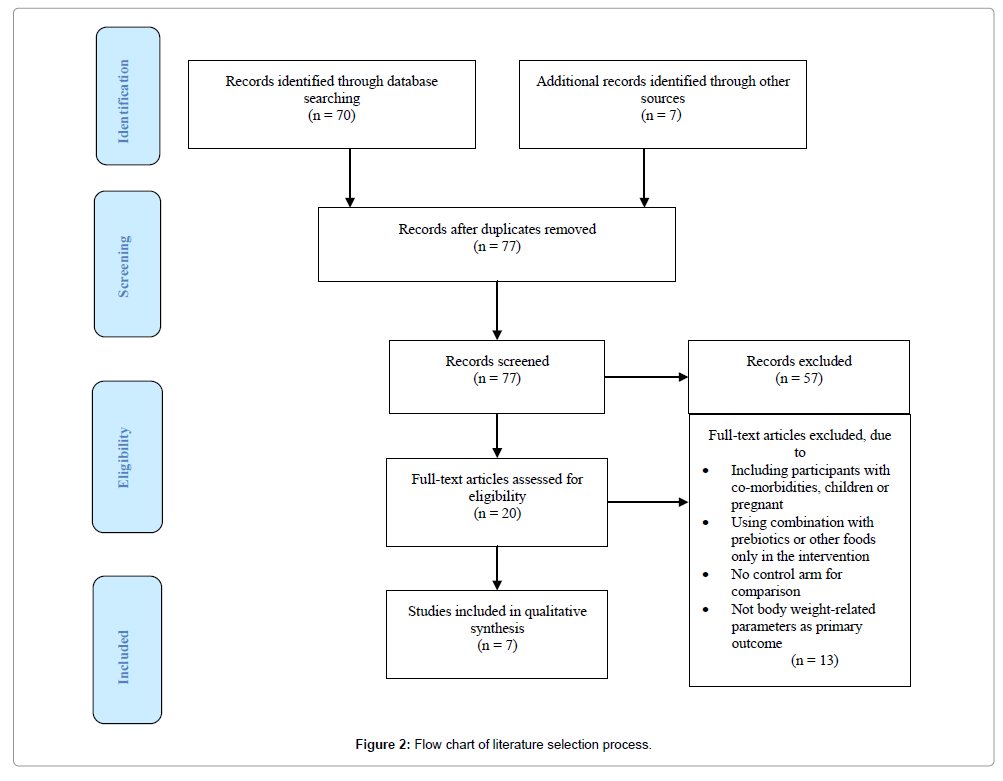 modes-of-nutrition-flow-chart