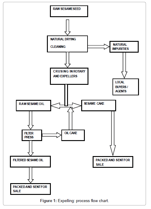 Food Process Flow Chart Food Process Flow Chart