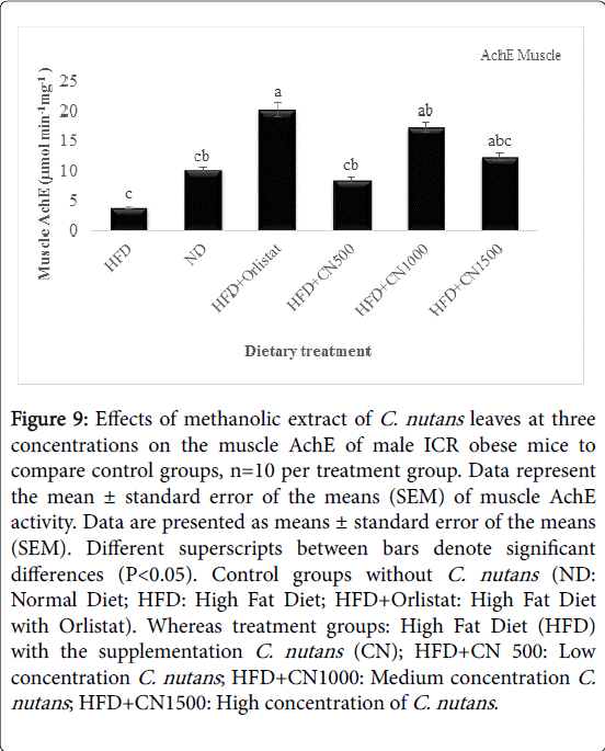 obesity-weight-loss-therapy-Data-represent