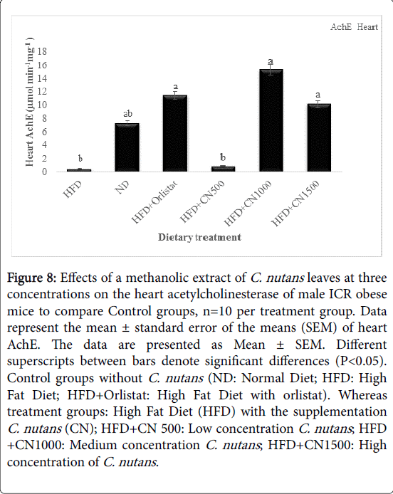 obesity-weight-loss-therapy-Normal-Diet