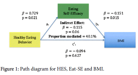 obesity-weight-loss-therapy-Path-diagram-HES