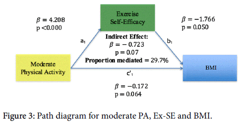 obesity-weight-loss-therapy-Path-diagram-moderate-PA