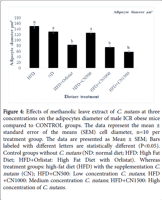 obesity-weight-loss-therapy-leave-extract