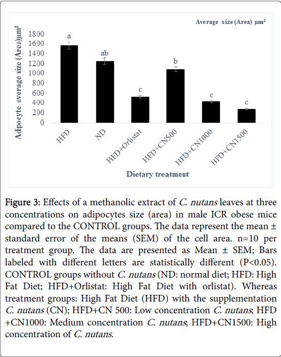obesity-weight-loss-therapy-nutans-leaves