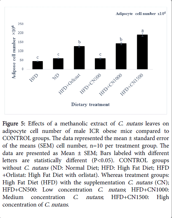 obesity-weight-loss-therapy-obese-mice