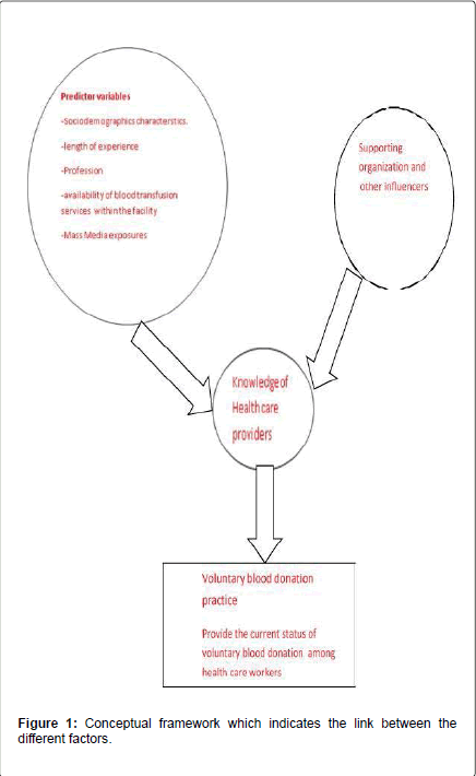 occupational-medicine-health-affairs-Conceptual-framework