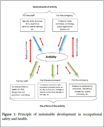 occupational-medicine-health-affairs-sustainable-development