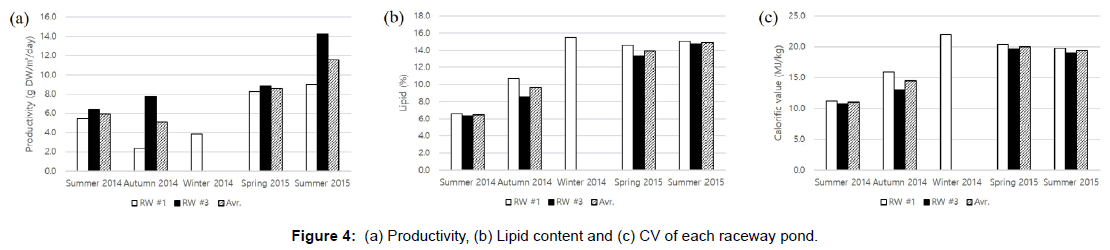 oil-gas-research-Lipid-raceway-pond