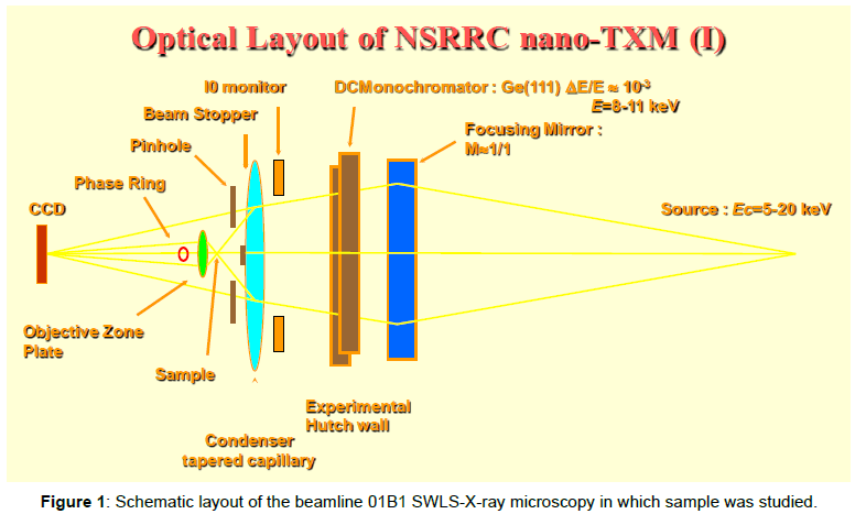 oil-gas-research-beamline-microscopy-sample