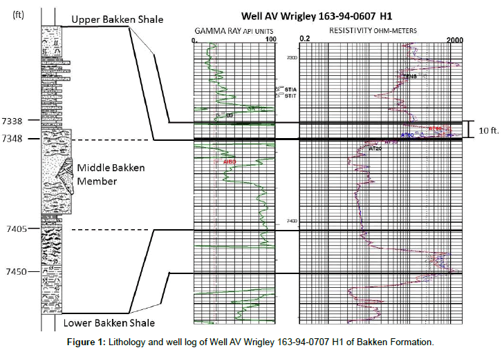 oil-gas-research-lithology-bakken-formation