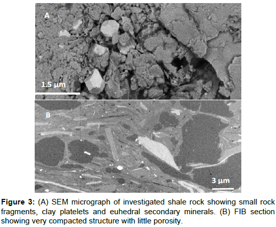 oil-gas-research-micrograph-investigated-shale