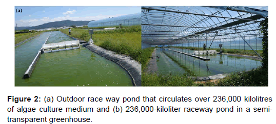 oil-gas-research-outdoor-pond-circulates