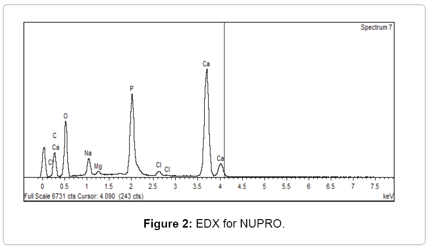 oral-hygiene-health-NUPRO