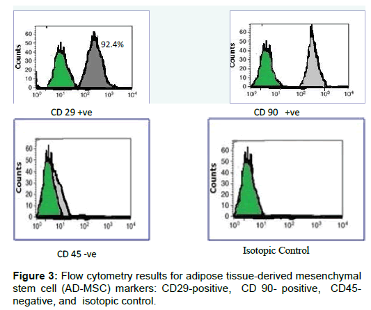 oral-hygiene-health-cytometry-adipose-tissue
