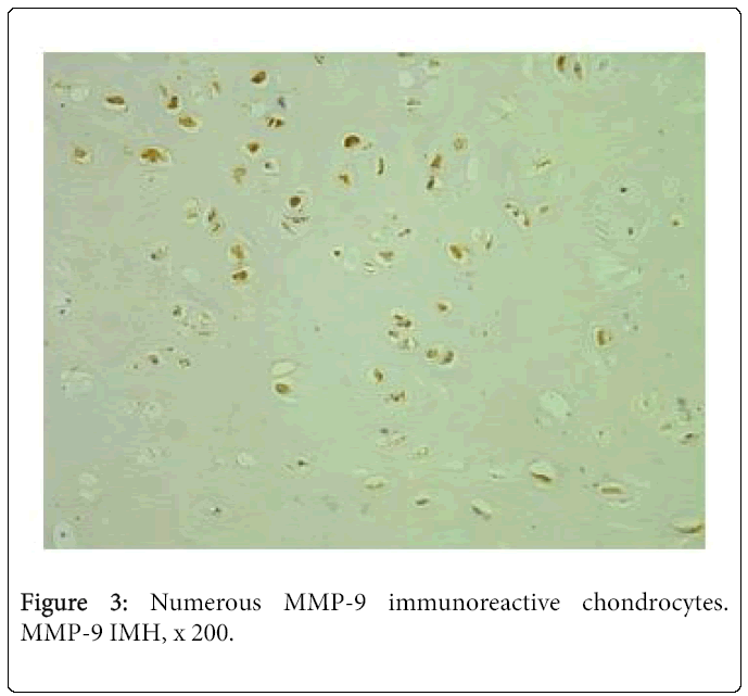 oral-hygiene-health-immunoreactive