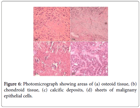 oral-hygiene-health-photomicrograph-epithelial