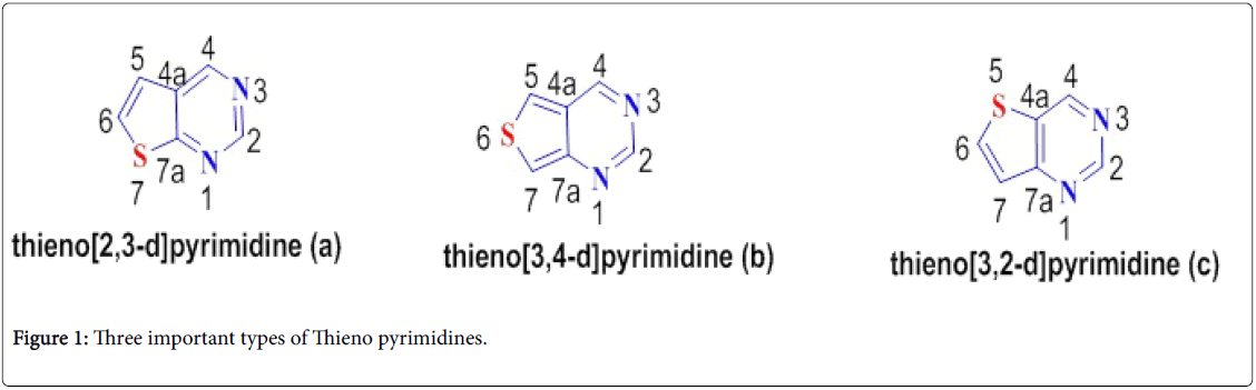 synthesis structural elucidation of novel thieno 2 3 d pyrimidine
