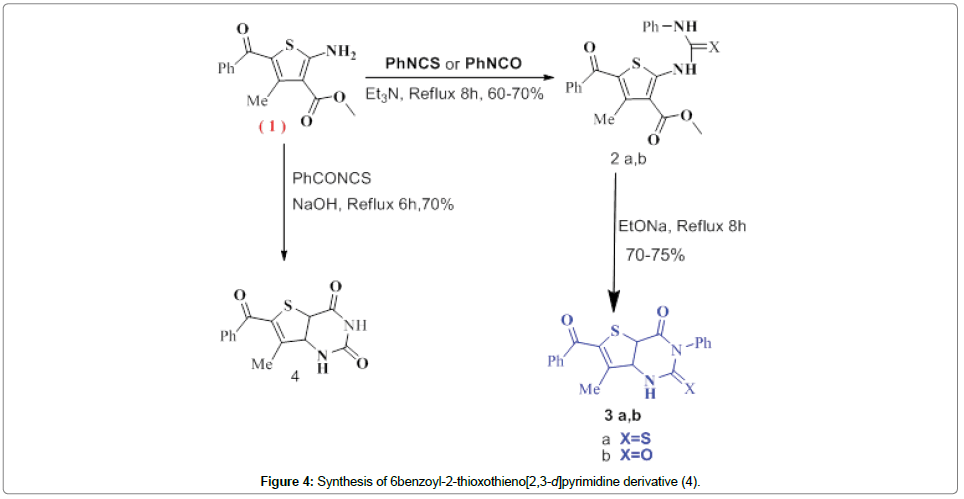 synthesis structural elucidation and anti bacterial evaluation of