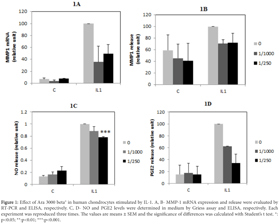 osteoarthritis-Effect-Ara-3000-beta