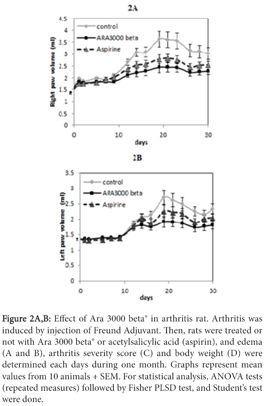 osteoarthritis-injection-Freund-Adjuvant