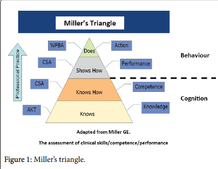 otolaryngology-Miller-triangle