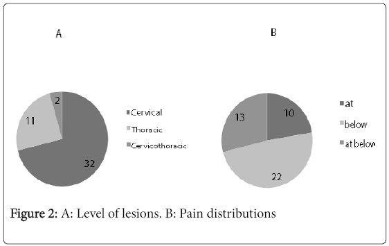 pain-relief-Pain-distributions