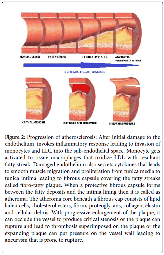 pain-relief-cholesterol-esters-fibrin