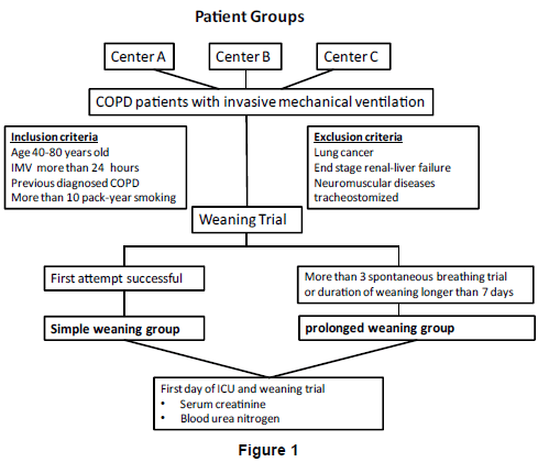 palliative-care-medicine