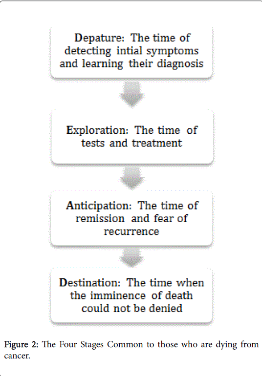 palliative-care-medicine-Common