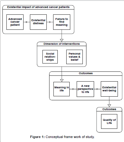 palliative-care-medicine-Conceptual-frame