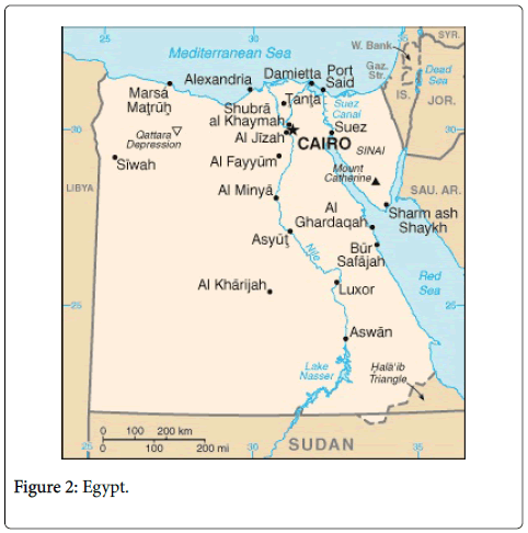 palliative-care-medicine-Egypt