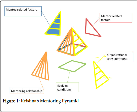 palliative-care-medicine-Mentoring-Pyramid