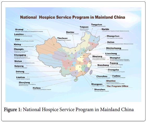 palliative-care-medicine-National-Hospice