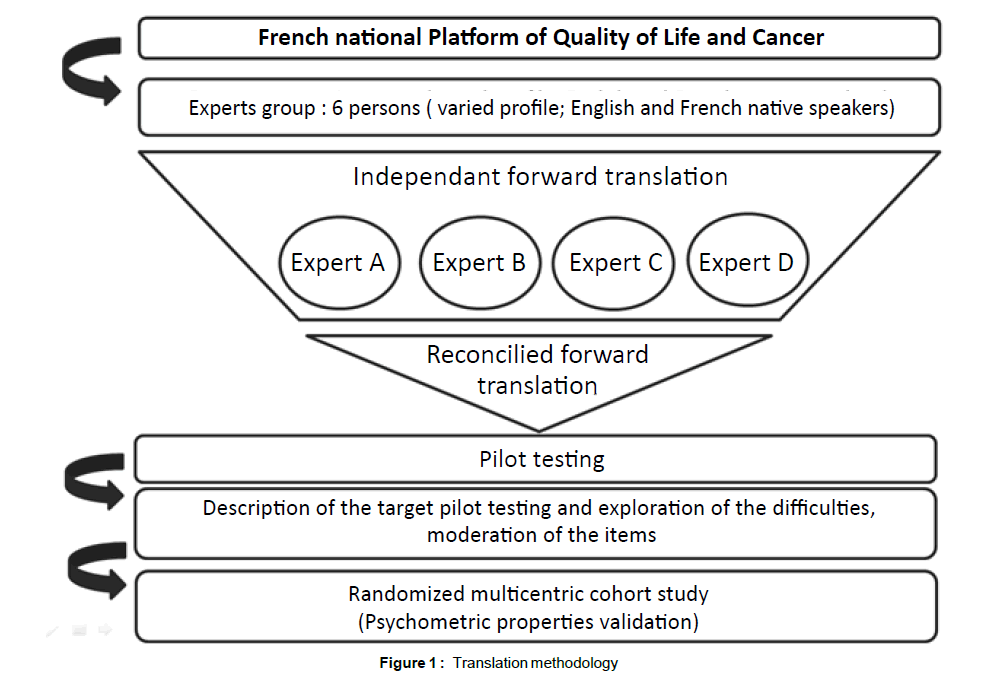 palliative-care-medicine-Translation-methodology