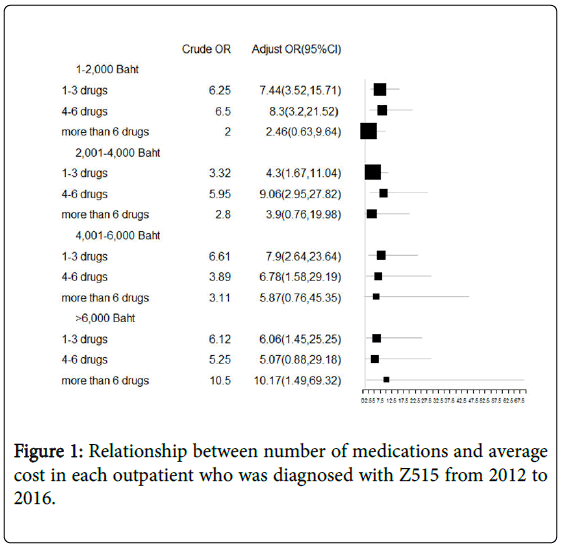 palliative-care-medicine-cost-each-outpatient