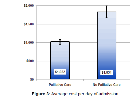 palliative-care-medicine-cost-per-day-admission
