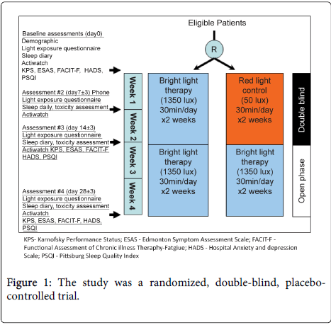 palliative-care-medicine-double-blind