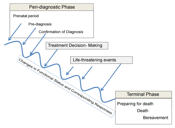 palliative-care-medicine-functional-status