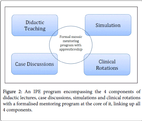 palliative-care-medicine-mentoring-program