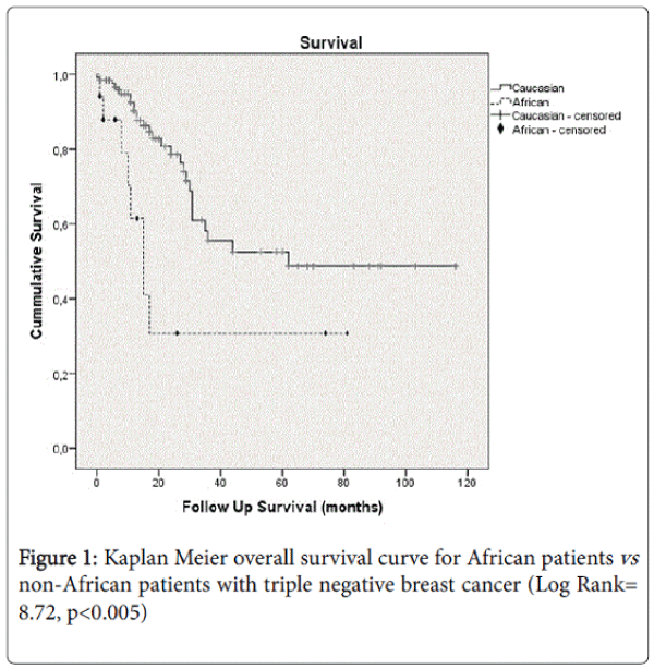 palliative-care-medicine-overall-survival-curve