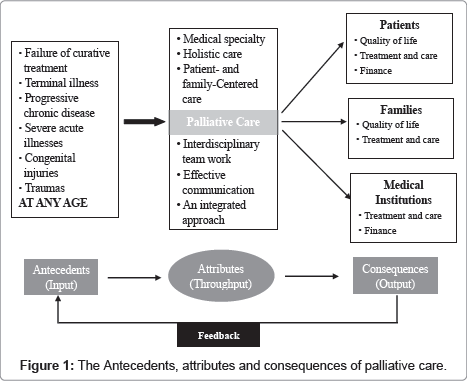 palliative-care-medicine-palliative-care