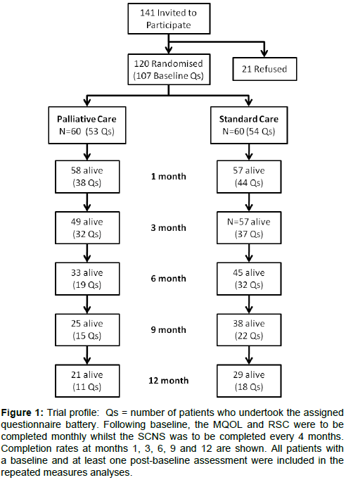 palliative-care-medicine-questionnaire-battery
