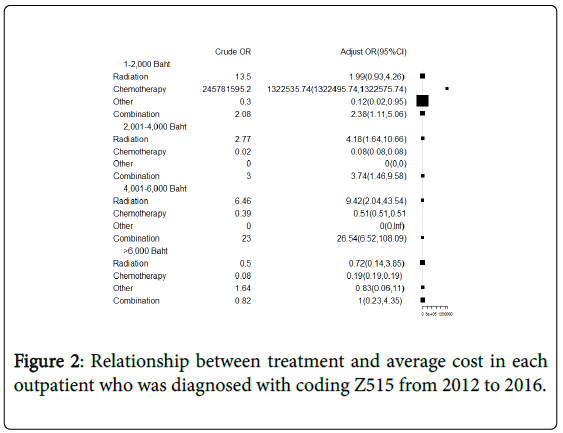 palliative-care-medicine-treatment-average-cost