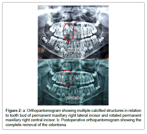 pediatric-dental-care-structures