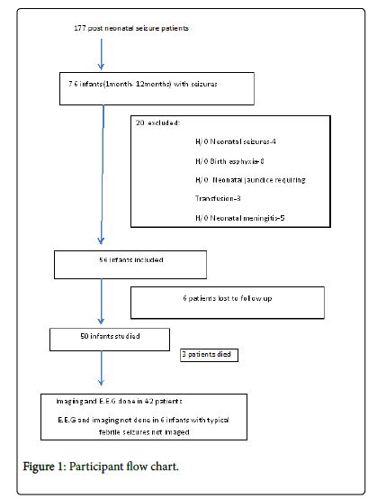 Pathophysiology Of Seizure Flow Chart