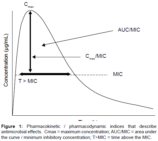 pharmacodynamics