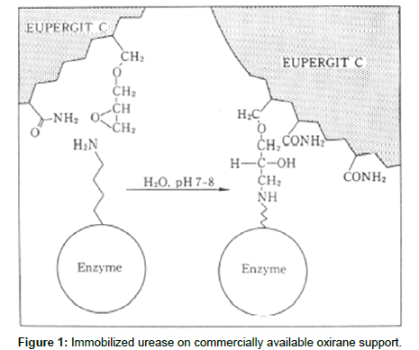 immobilized enzyme analysis Catalytic biofunctional membranes containing site-specifically immobilized enzyme arrays: separations (affinity membranes), analysis. immobilized enzyme analysis Catalytic biofunctional membranes containing site-specifically immobilized enzyme arrays: separations (affinity membranes), analysis.