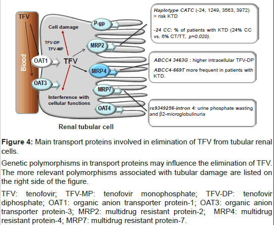 What are genetics picture
