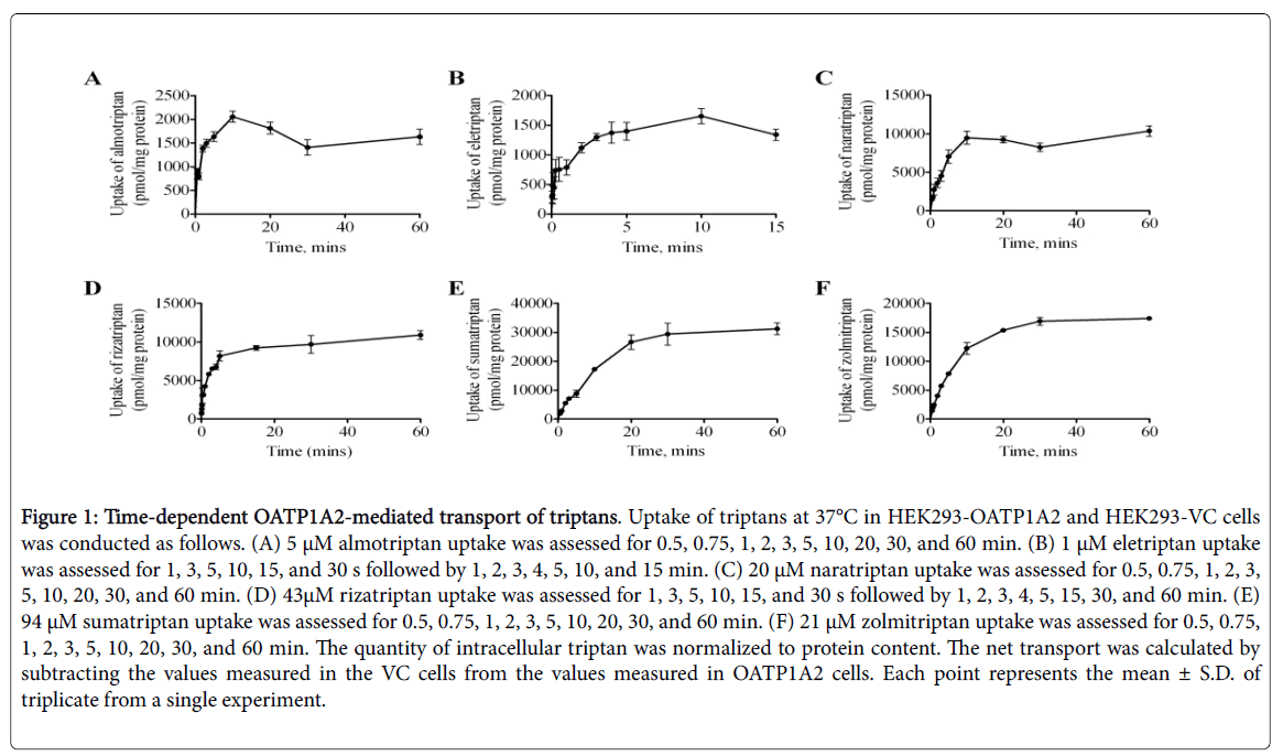 pharmacokinetics-experimental-therapeutics-transport-triptans