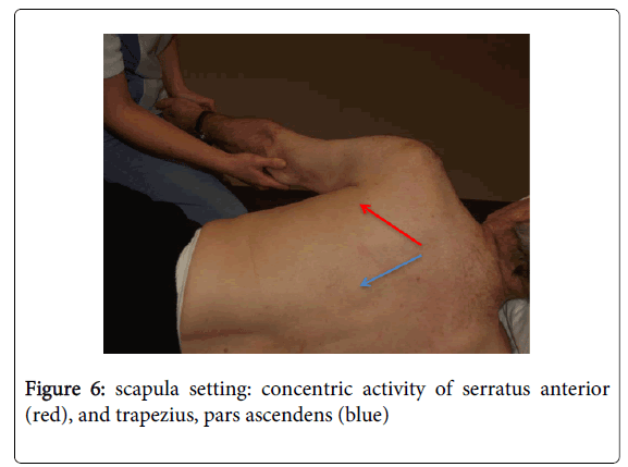 physical-medicine-rehabilitation-concentric-activity